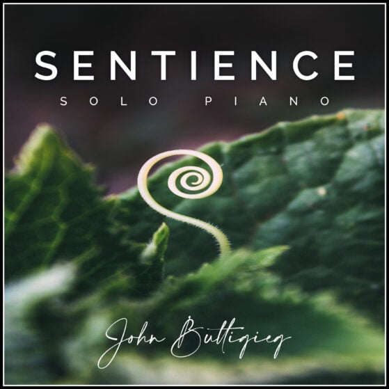Sentience artwork